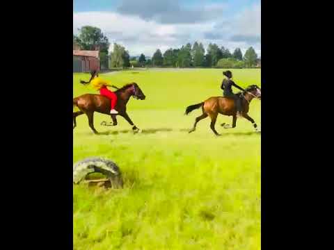 Traditional Horse Racing Dundee KZN 11 01 2026 
