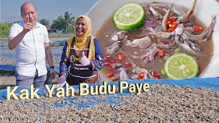 Buat BUDU Tempayan Guna Ikan BILIS Segar | Resepi Tok Kelantan