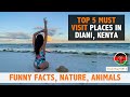 Top 5 must visit places in Diani Beach Kenya | Funny Facts about Kenya | Africa Travel vlog guide |