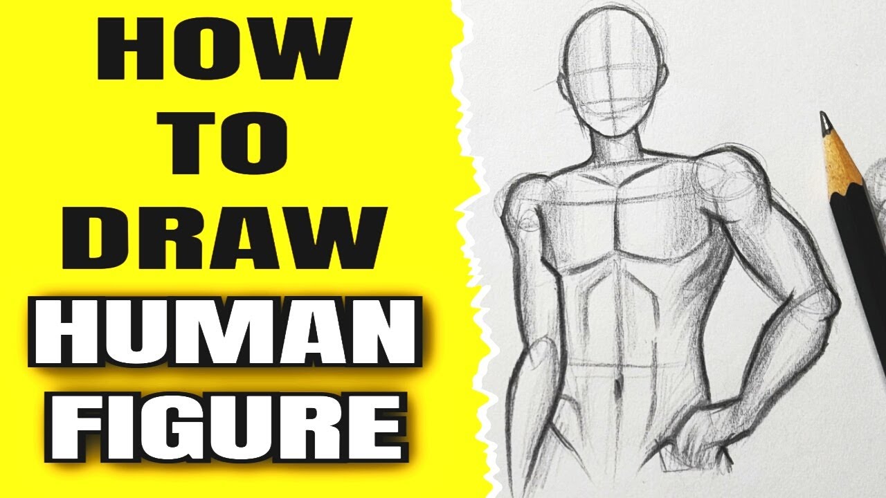 Male Drawing Poses - Learn to Sketch Male Anatomy Poses