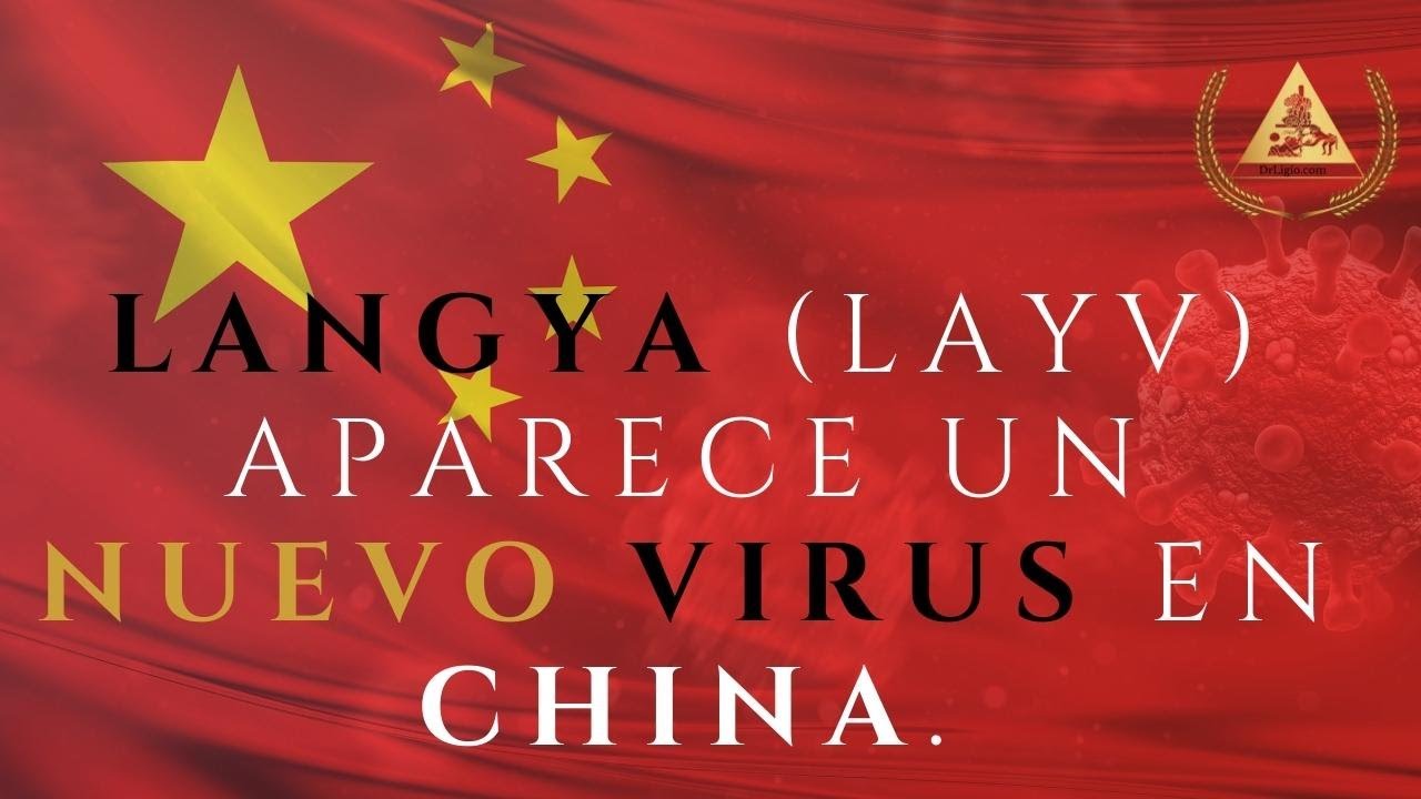 Langya Henipavirus (LayV) Aparece un nuevo virus en China