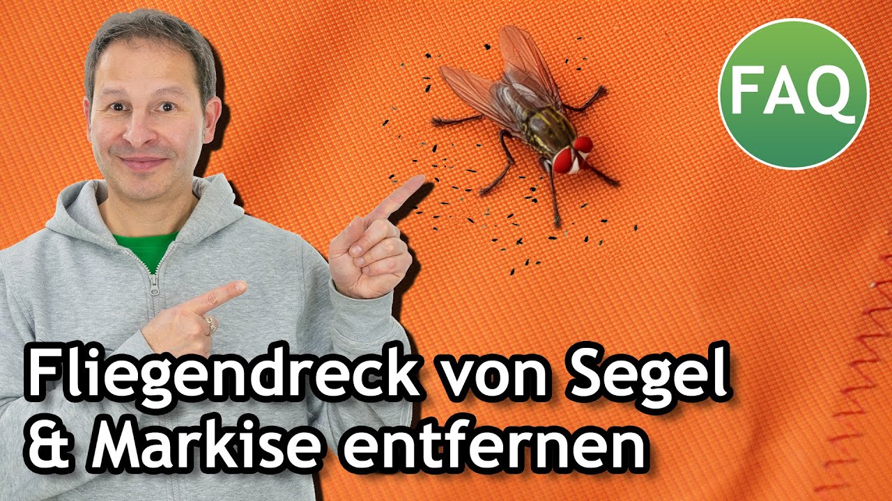 Fliegendreck von Sonnensegel & Markise entfernen & reinigen FAQ ☀️