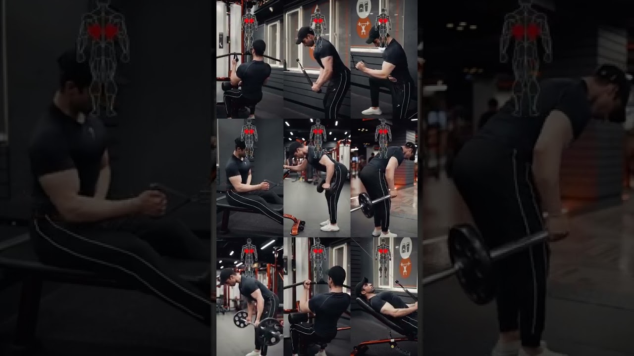 Lat exercises library