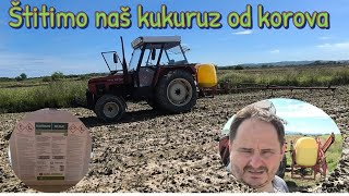 Prskanje kukuruza borba sa vremenom nakon serije kiše