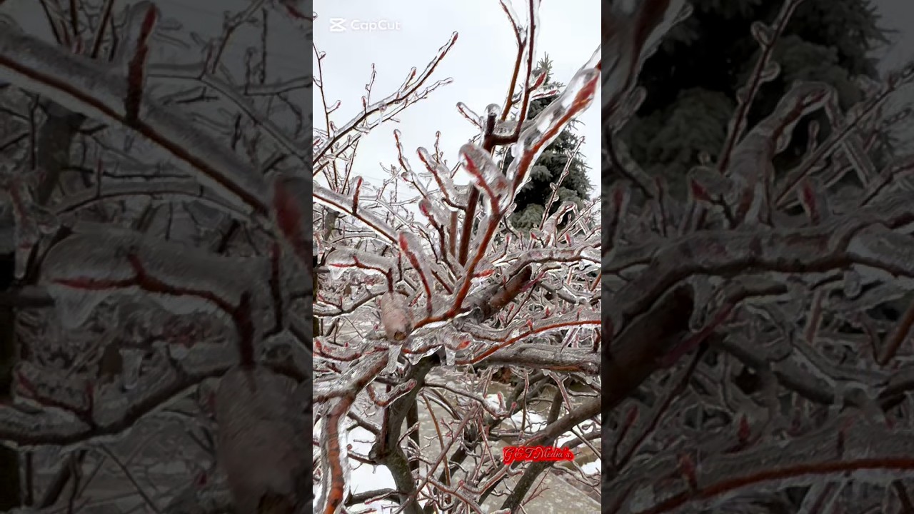 Freezing Rain after Effect 