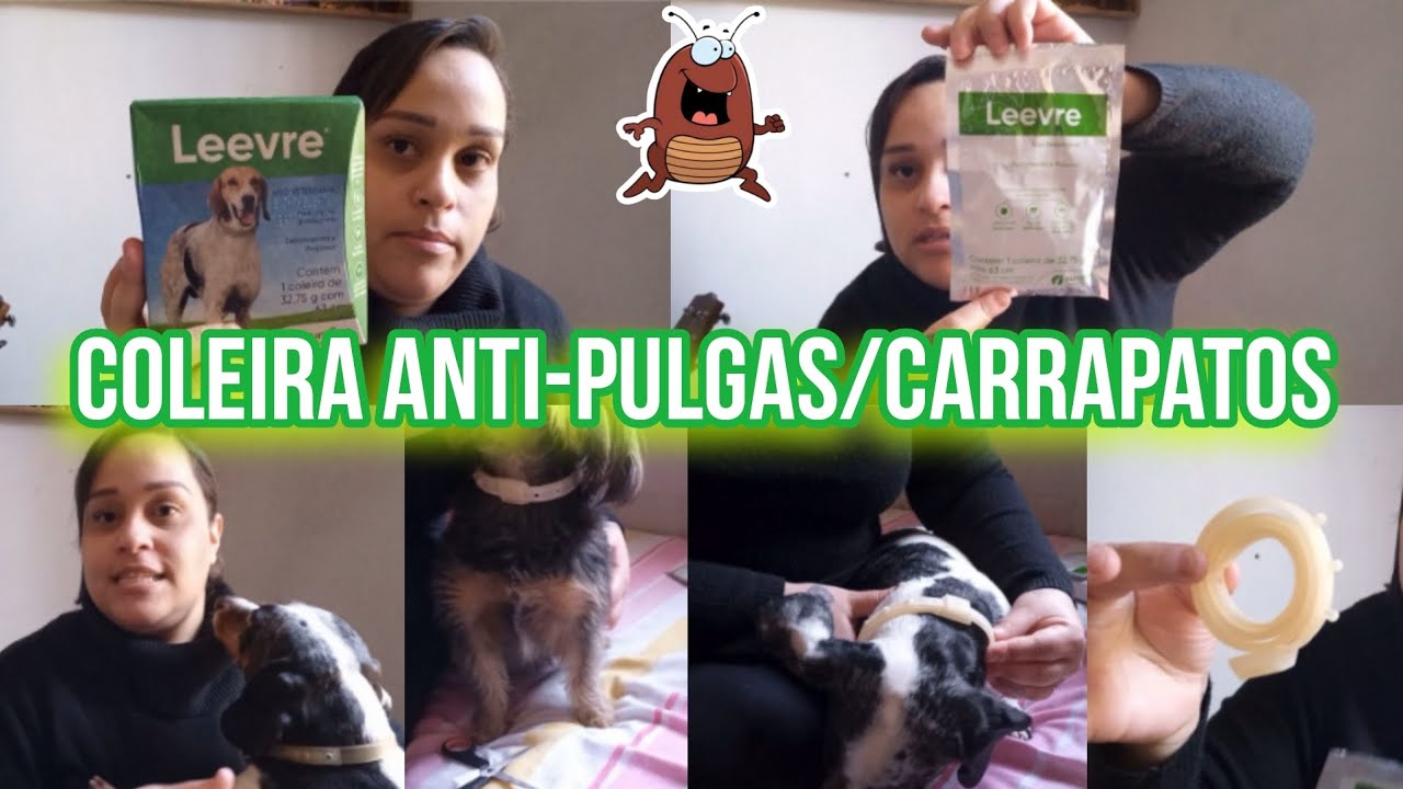 COLEIRA ANTI-PULGAS E CARRAPATOS FUNCIONA? | COLEIRA LEEVRE OUROFINO