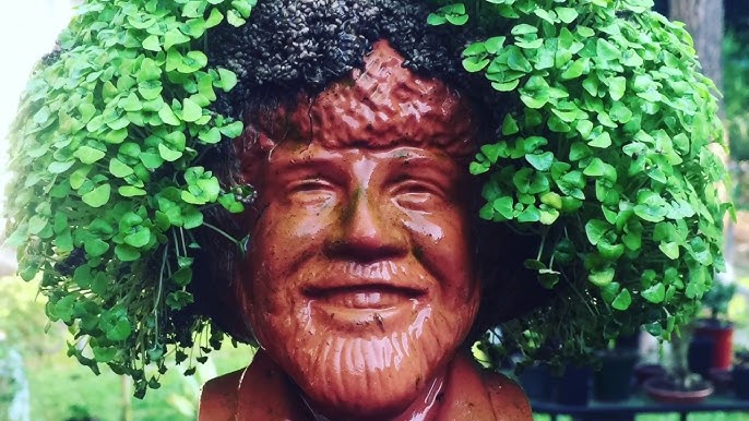 Seven of 7 - Bob Ross Chia Pet.