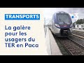 Des trains trop peu nombreux les petites gares dlaisses les usagers du ter mcontents en paca