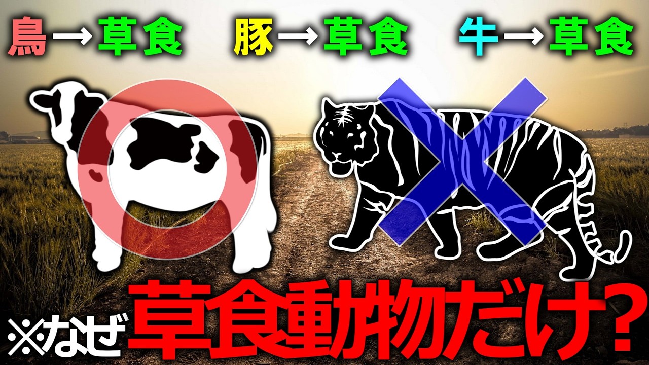 【全て草食動物】なぜ肉食動物の肉を食べてはいけないのか【雑学】【ゆっくり解説】