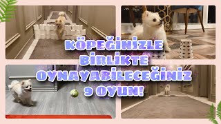 KÖPEĞİNİZLE BERABER OYNAYABİLECEĞİNİZ 9 OYUN! #POMERANIAN