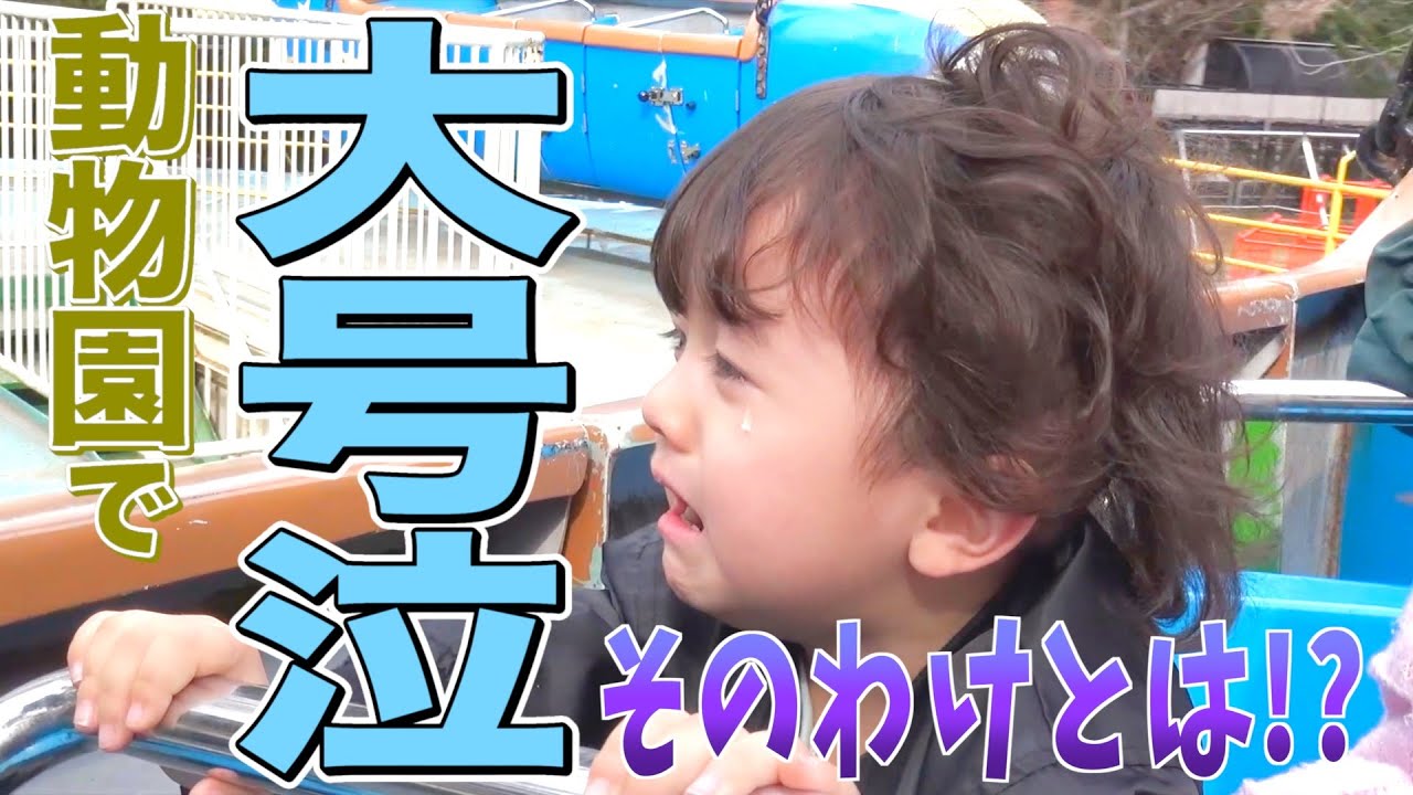 【大号泣】思ってたのと違〜う!!!!!!!!!ノリノリのリタが涙を流したその訳とは！？