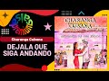 🔥DEJALA QUE SIGA ANDANDO por CHARANGA CUBANA - Salsa Premium