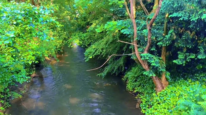 Die entspannendste einstündige Reise am Fluss entlang