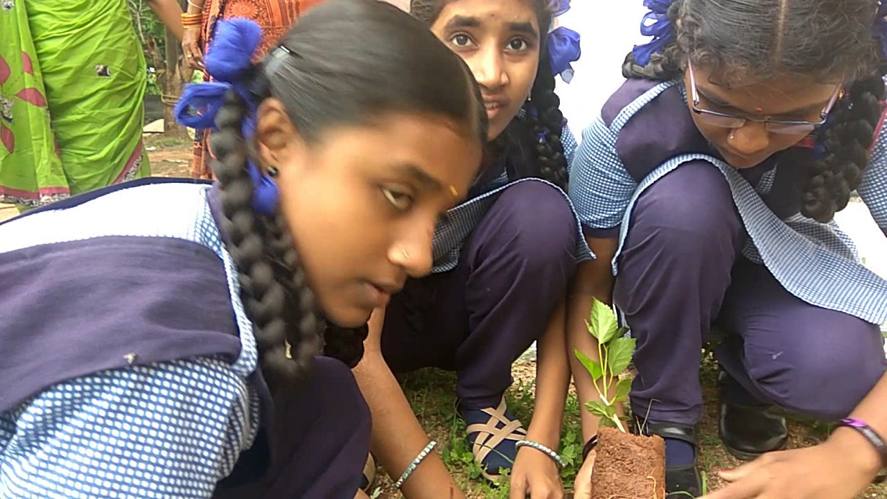 Green day celebrations -TSModel school thimmapur