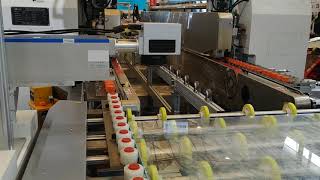 High speed fully automatic double edger line in shanghai 2021 China glass expo.