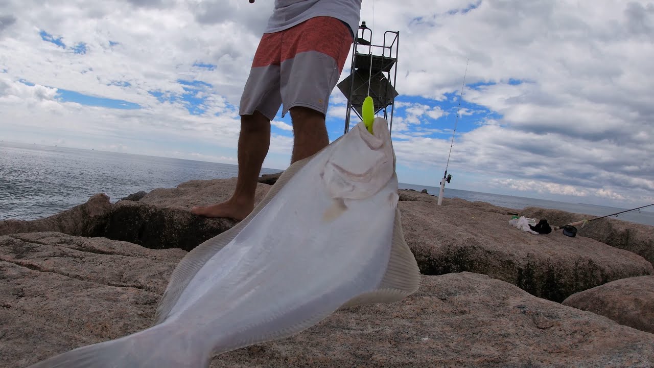 FLUKE FISHING PT4 MULTI-SPECIES Inlet and Jetty fishing!!!!!