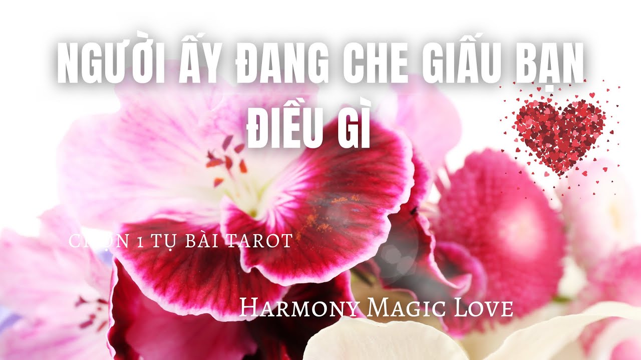Chọn 1 tụ bài #tarot [BIGLOVE] ♥️ NGƯỜI ẤY ĐANG CHE GIẤU BẠN ĐIỀU GÌ #union #timeless #foreverlove