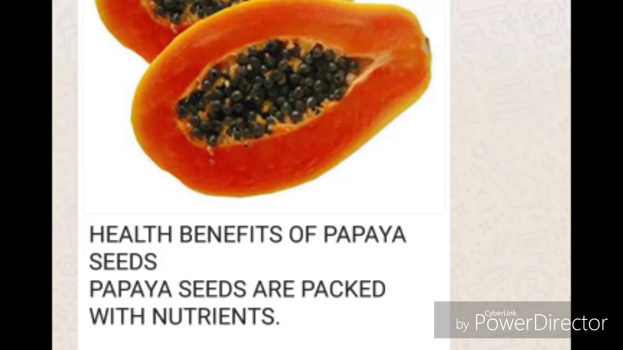 Health Benefits of Papaya Seeds YouTube