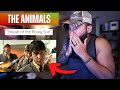 THAT'S AWFUL! | First Time Hearing The Animals - "House of the Rising Sun" (REACTION!!!)