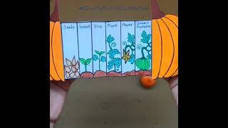 Pumpkin Lifecycle | Fall season craft | Science activity | Lifecycle  of vegetable