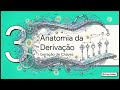 Fundamentos das Carteiras HD — Forge College