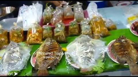 TUDDPB002016-V002500