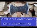 Cutting firewood at home - (Part 1 - Felling the tree)