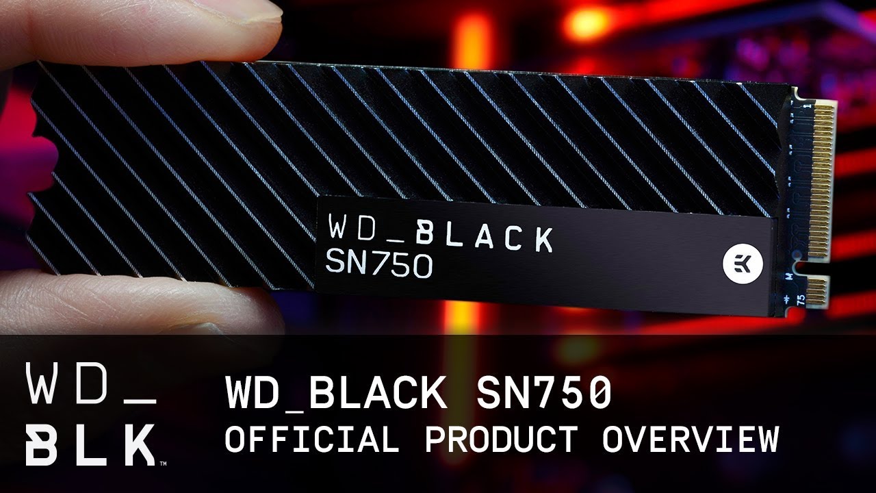 WD 黑標SN750 2TB NVMe PCIe SSD固態硬碟(EKWB散熱片) | WD 威騰