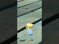 🐚 Hermit Crab’s Amazing Escape! #Shorts