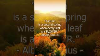 Seasons Nature Sound Rahatlatıcı Piyano Sesi Ile Sonbahar Manzarası