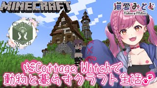 みとじちゃんねる / - Mitozi Nekoa CH -の配信のサムネイル画像