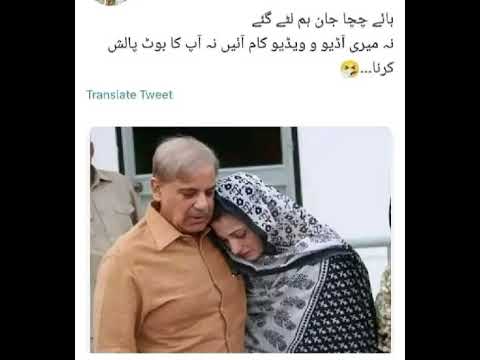 شہباز شریف مریم نواز شریف لیڈ آف پاکستان