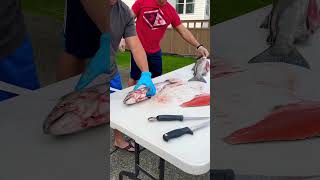 Rate This Fillet Skills