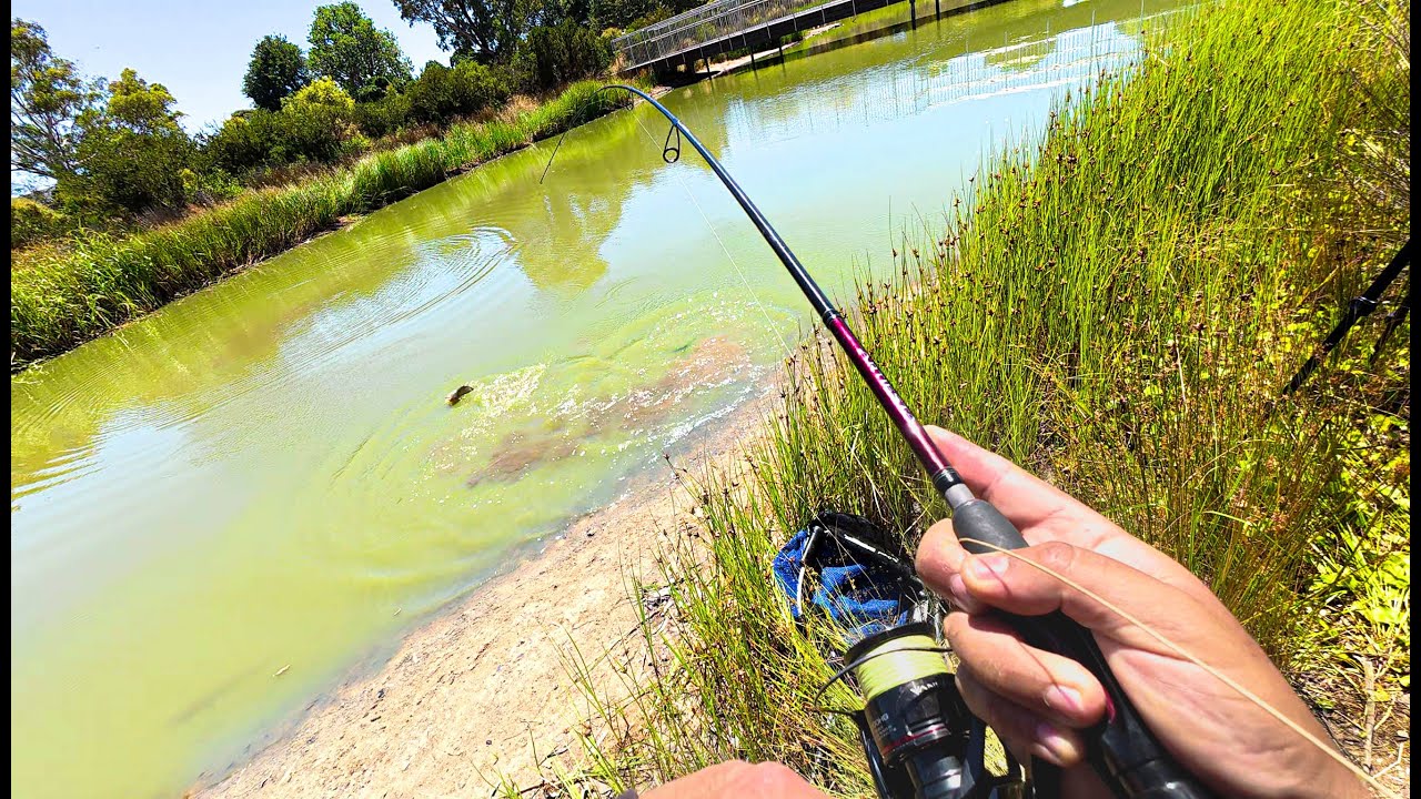 I Found an INSANE Fishing Spot Near Melbourne and Couldn't Believe the Results!