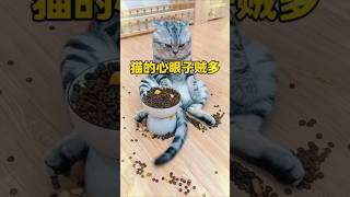 原来猫咪🐱也有坏心思💡！研究发现大部分被宠坏的猫都一个德性！ #pets #主人 #寵物日常 #cat #猫咪健康  #貓咪 #貓咪日常 #萌寵 #猫咪饮食 #cute #猫咪心思