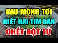 Cảnh báo: Sai Lầm Khi ĂN RAU MỒNG TƠI Vô Tình Gi.ết Hại TIM GAN, Rước UNG THƯ Có Ngày CHẾTT ĐỘT TỬ