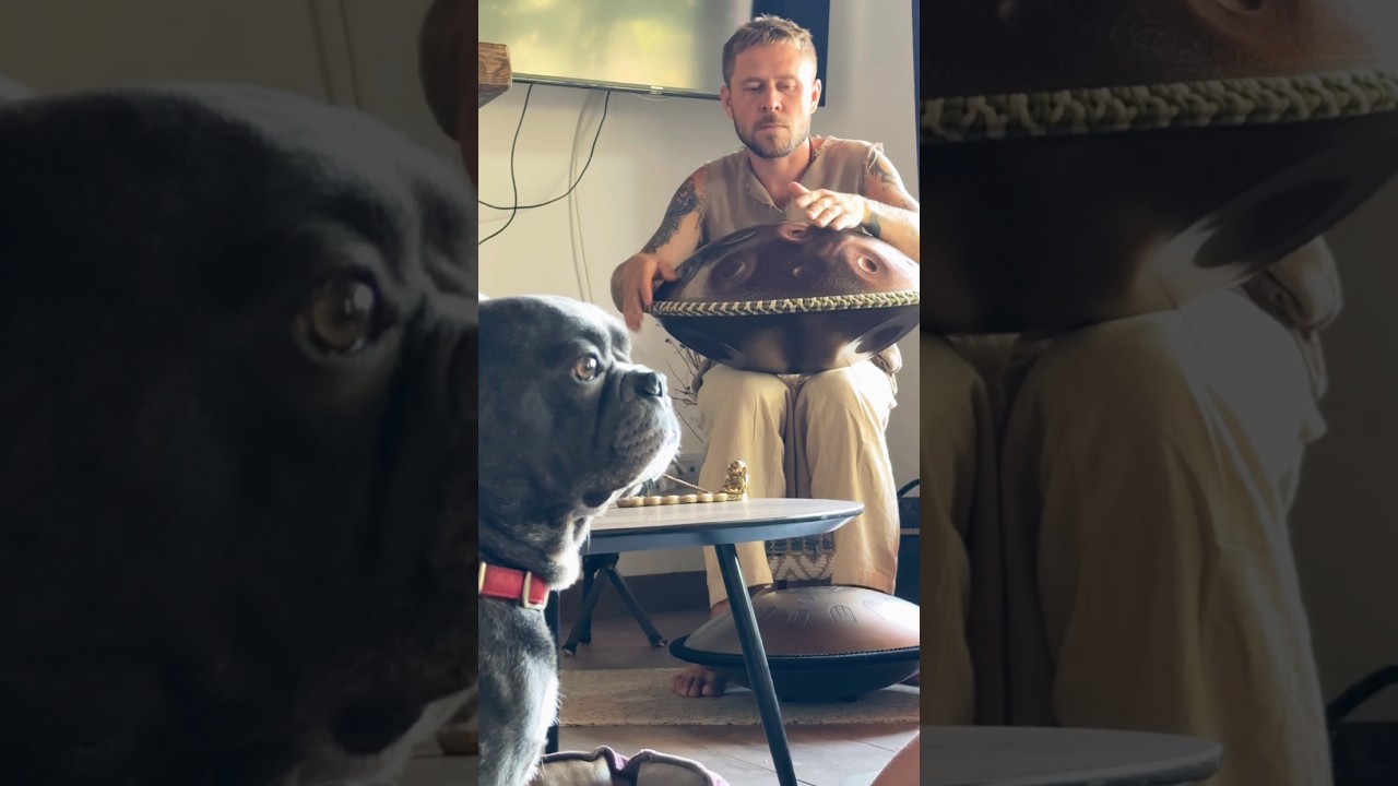 Handpan music | Denys Balykhin