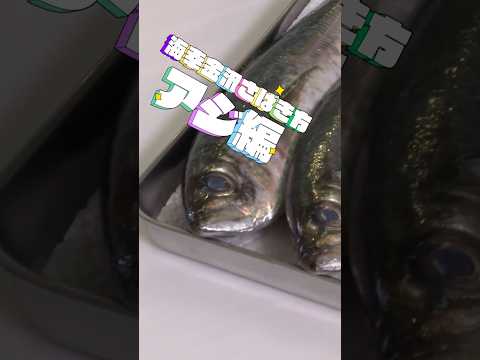 海幸金沢さばき方動画～アジ編～