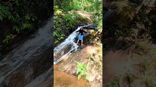 bts music shorts comedy  trendingmusic kerala waterfall in kerala