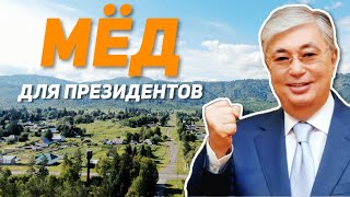 Мёд для президентов! Обзор на фабрику мёда из посёлка Лепси!