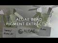Algae Research and Supply Algae Beads Pigment Extraction project.  Copy Paper vs Engineering Paper.