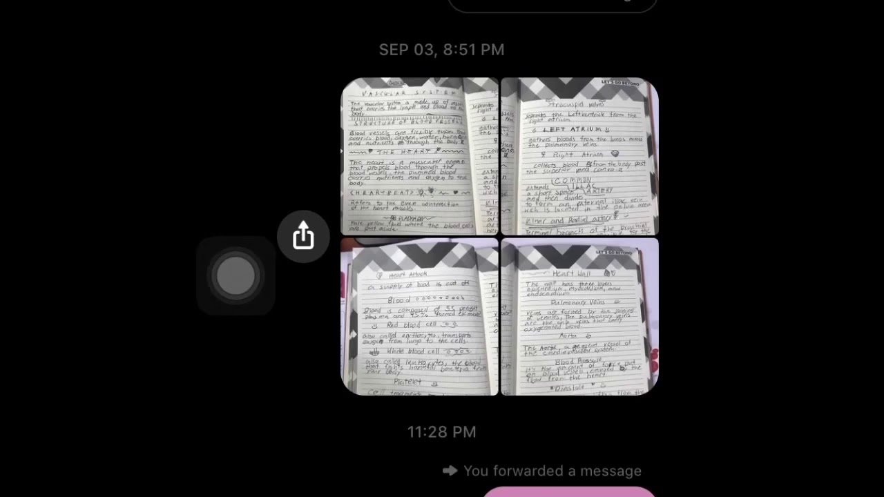 ⁣pilachu crush hi 2 min for luis only