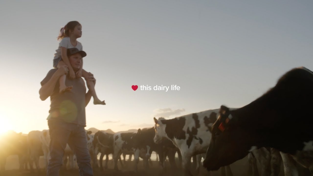 Our Dairy Life | Real California Milk