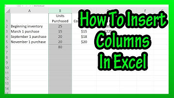 How To Insert Or Add A Column (Or Multiple Columns) In An Excel Spreadsheet Explained