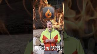 Brennholz Buche vs Pappel wer gewinnt? #forstwirtschaft #brennholz #heizenmitholz #waldarbeit