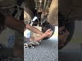 Satisfying Differential Service (1st Gen Tundra)