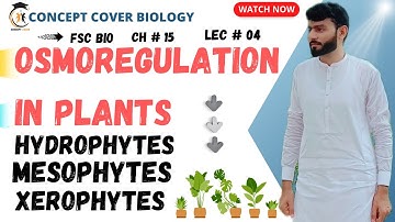 Osmoregulation in Plants | Hydrophytes, Mesophytes and Xerophytes | Class 12th Biology