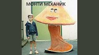Video thumbnail of "Монти Механик - Аня"