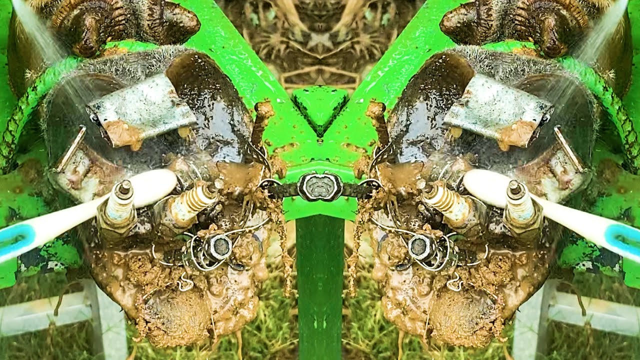 HELPING COW HOOF, CLEANING AND REMOVING SCREW CAREFULLY.!!