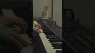 One Last Time piano piano composer sadpiano jurrivh